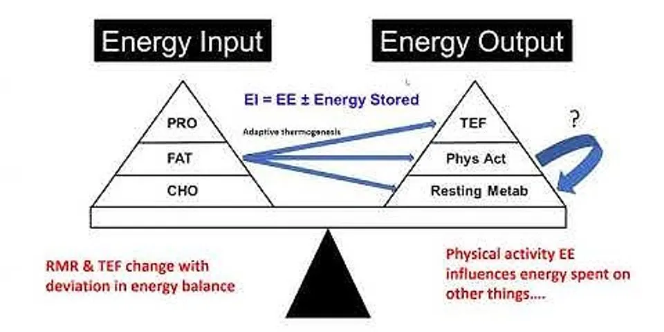 Example of balance in physical fitness
