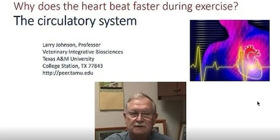 How does the nervous system control heart rate during exercise