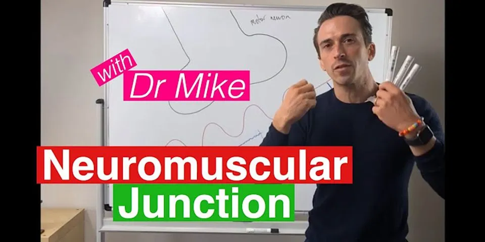 What happens at a neuromuscular junction