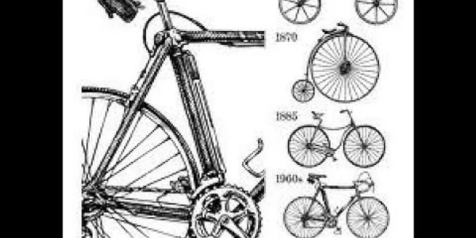 What impact did the popularity of the bicycle in the early 1900s have on woman