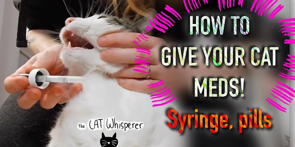 What is the easiest way to give a cat medicine?
