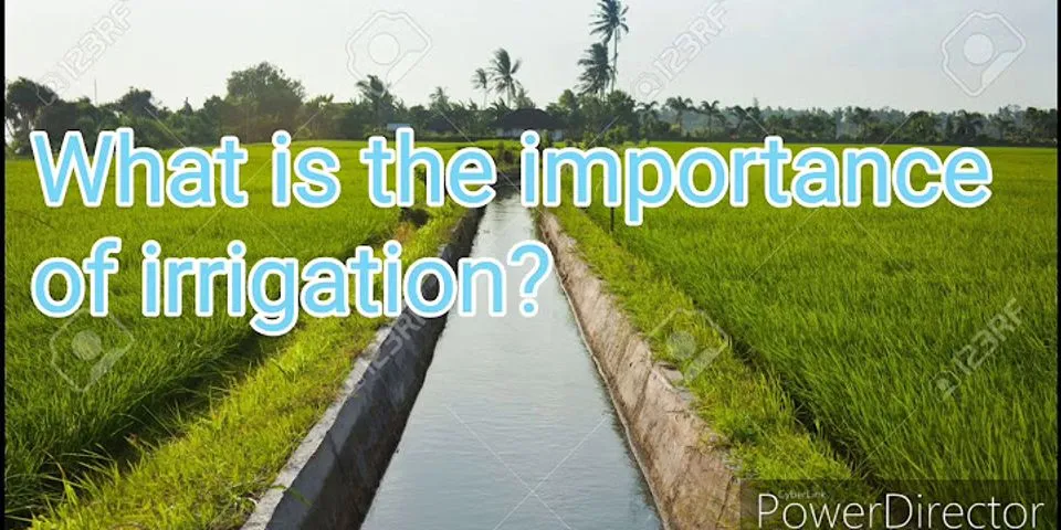 What is the importance of water in irrigation