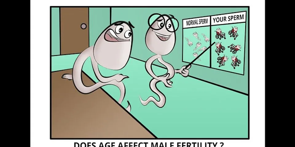 When does your body stop producing sperm